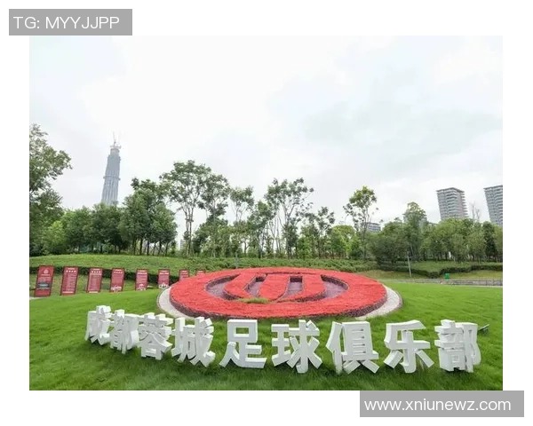 成都足球队的崛起与挑战全景揭秘解析球队状态与未来发展方向